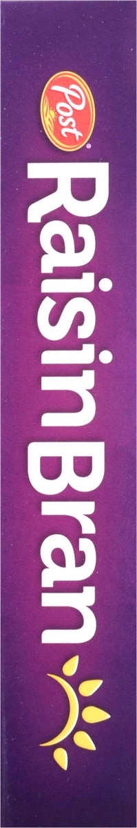 slide 5 of 14, Post Raisin Bran Cereal, 16.6 OZ Box, 16.60 oz