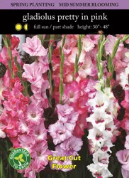 Gladiolus Pretty In Pink Bulbs