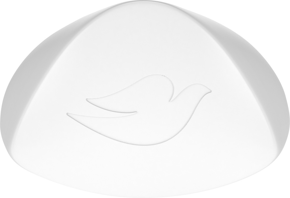 slide 6 of 13, Dove Conditioner Argan Oil & Damage Repair 12 oz, 12 fl oz