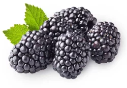 Blackberries Container