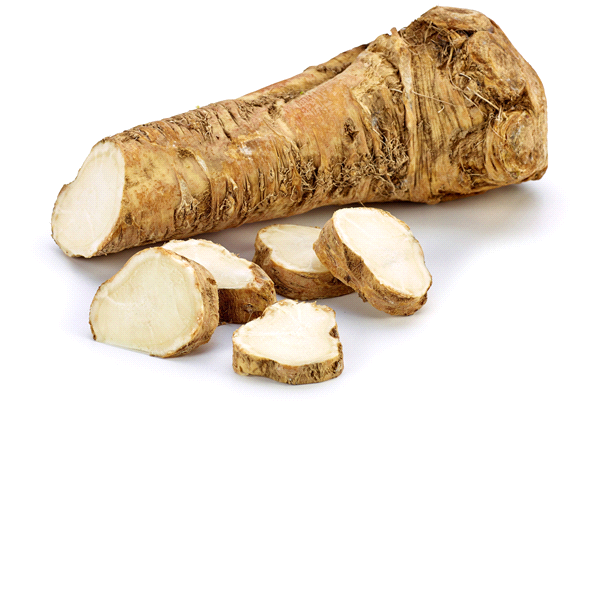 slide 1 of 1, PICS Fresh Root Horseradish, 1 ct