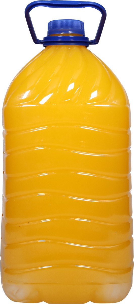 slide 4 of 9, Tampico Citrus Punch Juice 1 gal, 1 gal