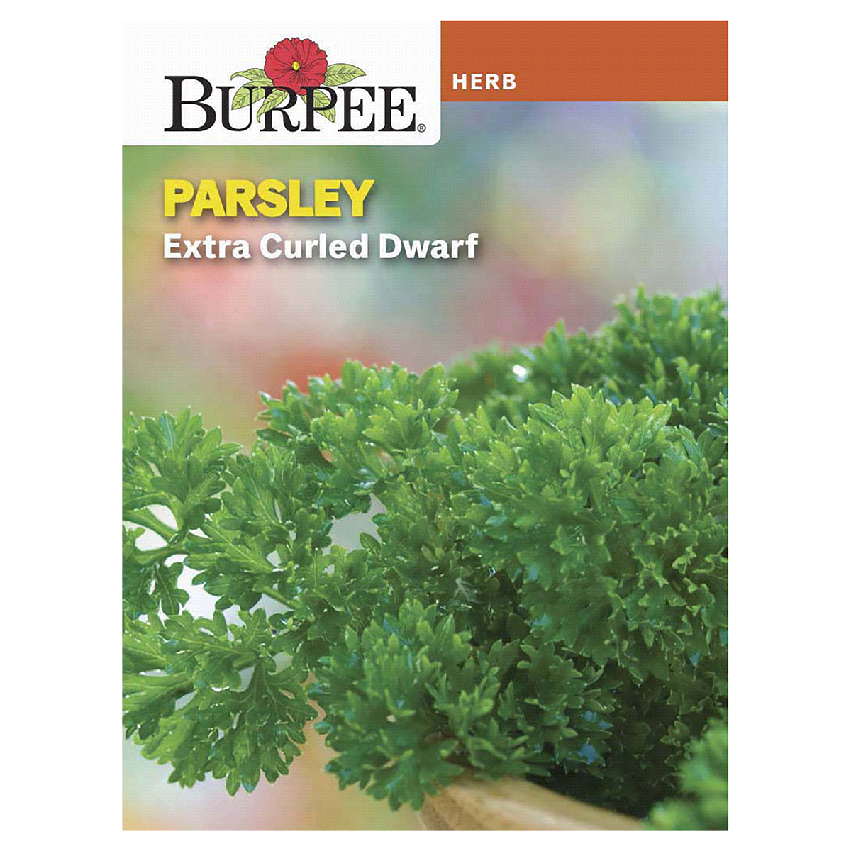 slide 1 of 5, Burpee Parsley Extra Curled Dwarf Seeds, 1 ct