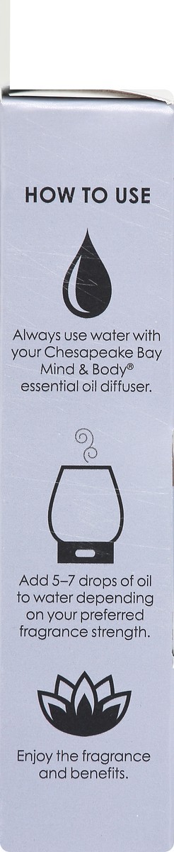 slide 7 of 9, Chesapeake Bay Candle Chesapeake Bay Essential Oil Asleep, 0.33 oz