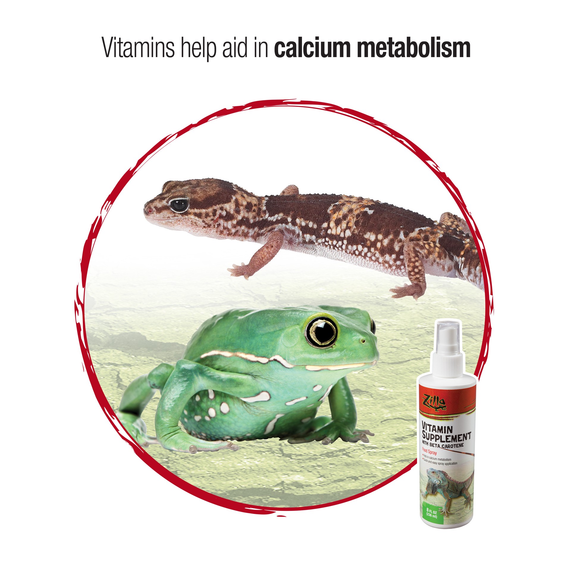 slide 5 of 10, Zilla Vitamin Supplement Food Spray 8 Fluid Ounces, 1 ct