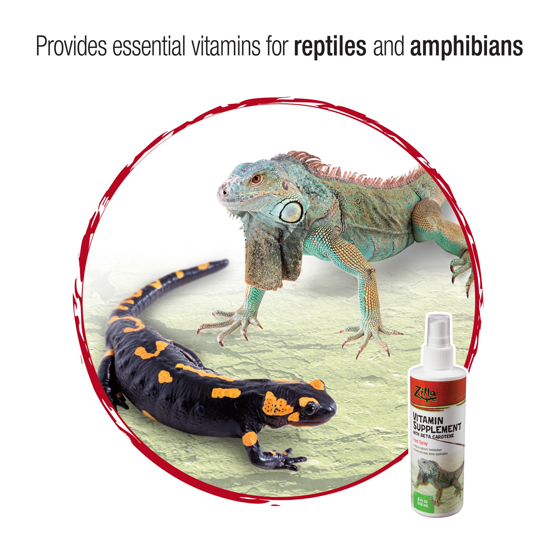 slide 7 of 10, Zilla Vitamin Supplement Food Spray 8 Fluid Ounces, 1 ct