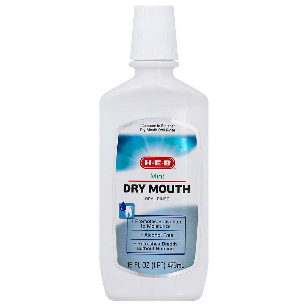 slide 1 of 1, H-E-B Dry Mouth Mint Flavor Oral Rinse, 16 oz