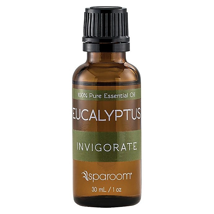 slide 1 of 1, SpaRoom Eucalyptus Essential Oil, 1 ct