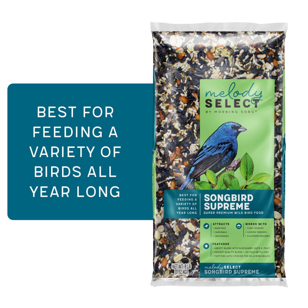 slide 1 of 1, Morning Song Melody Select Songbird Supreme Bird Food, 8 lb