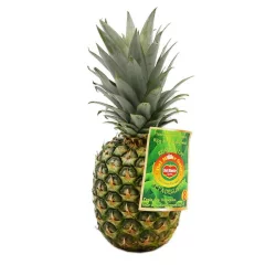 Pineapple