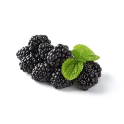 Blackberry