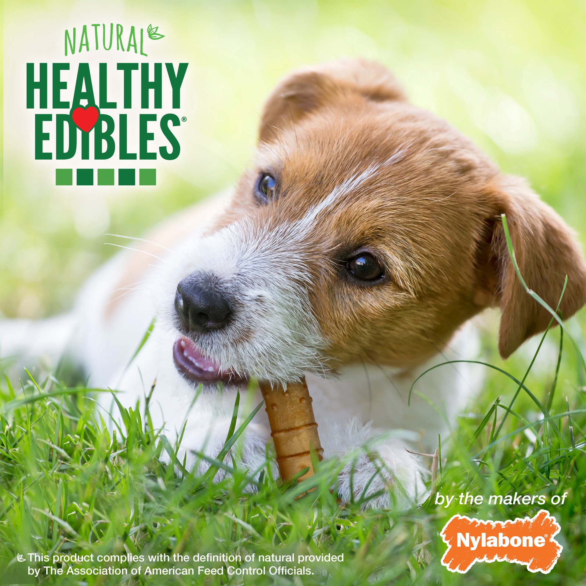 slide 3 of 10, Nylabone Healthy Edibles All-Natural Long Lasting Turkey & Apple Dog Chew Treats Small/Regular - Up to 25 Ibs.(4 Count), 4 ct; regular