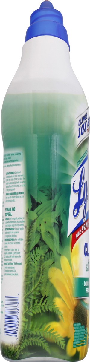 slide 2 of 9, Lysol Fresh Cling Gel Forest Rain Scent Toilet Bowl Cleaner 24 fl oz, 24 oz