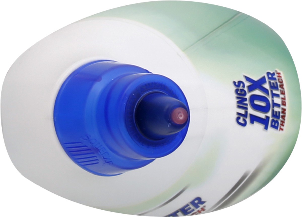 slide 6 of 9, Lysol Fresh Cling Gel Forest Rain Scent Toilet Bowl Cleaner 24 fl oz, 24 oz