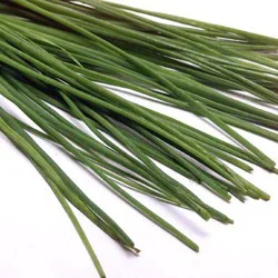 Melissa's Organic Chives
