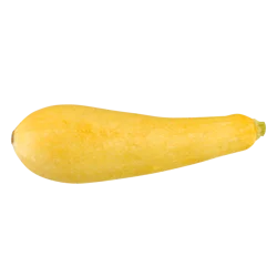 Squash - Yellow
