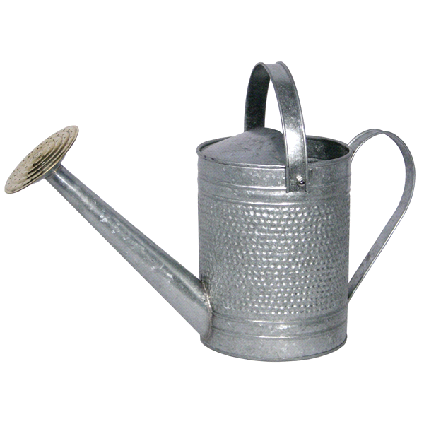 slide 1 of 1, Jameson Watering Can-Galvanized Finish, 1 gal