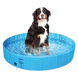 Top Paw® Foldable Pool