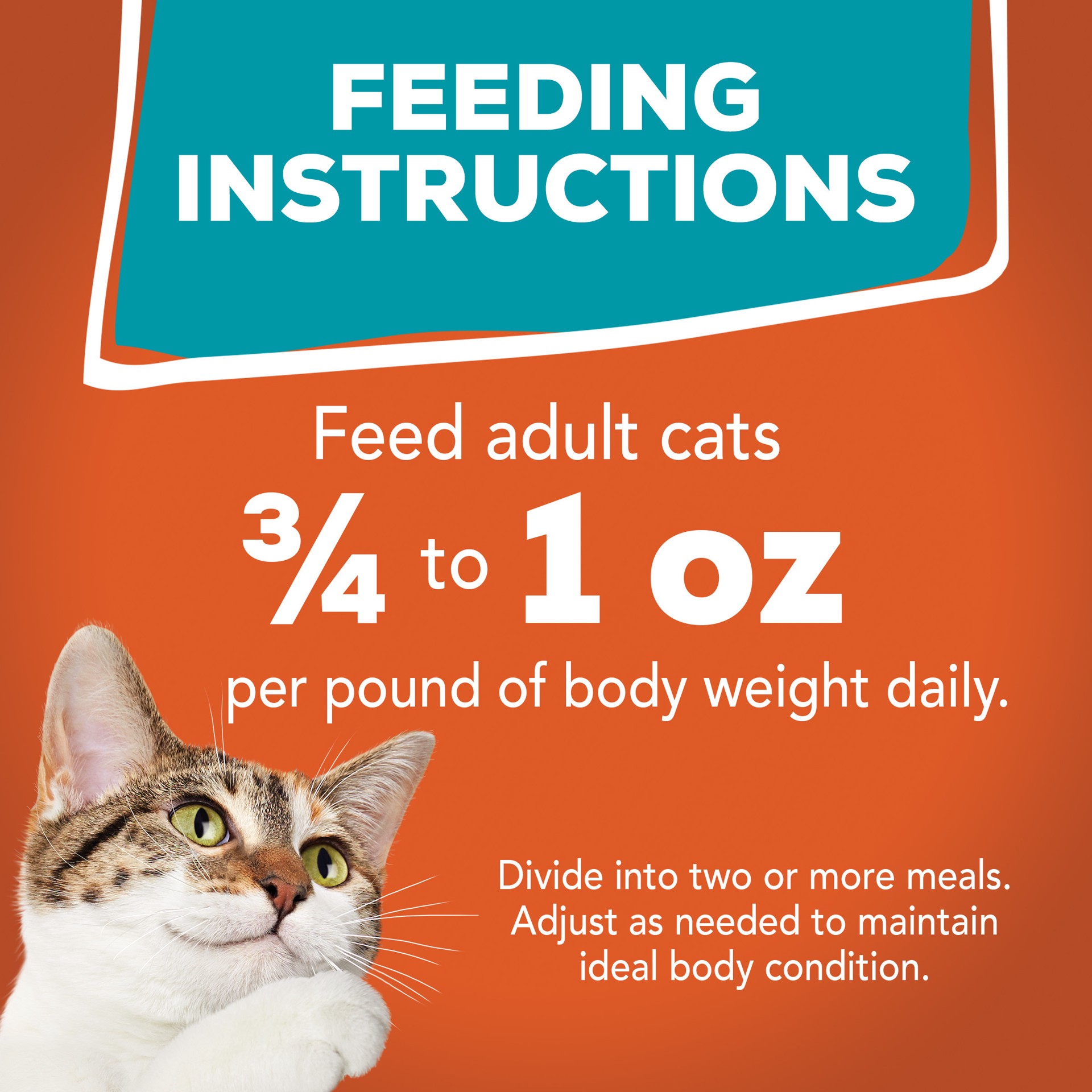 slide 6 of 7, Friskies Purina Friskies Gravy Wet Cat Food, Tasty Treasures With Chicken & Tuna and Scallop Flavor, 5.5 oz