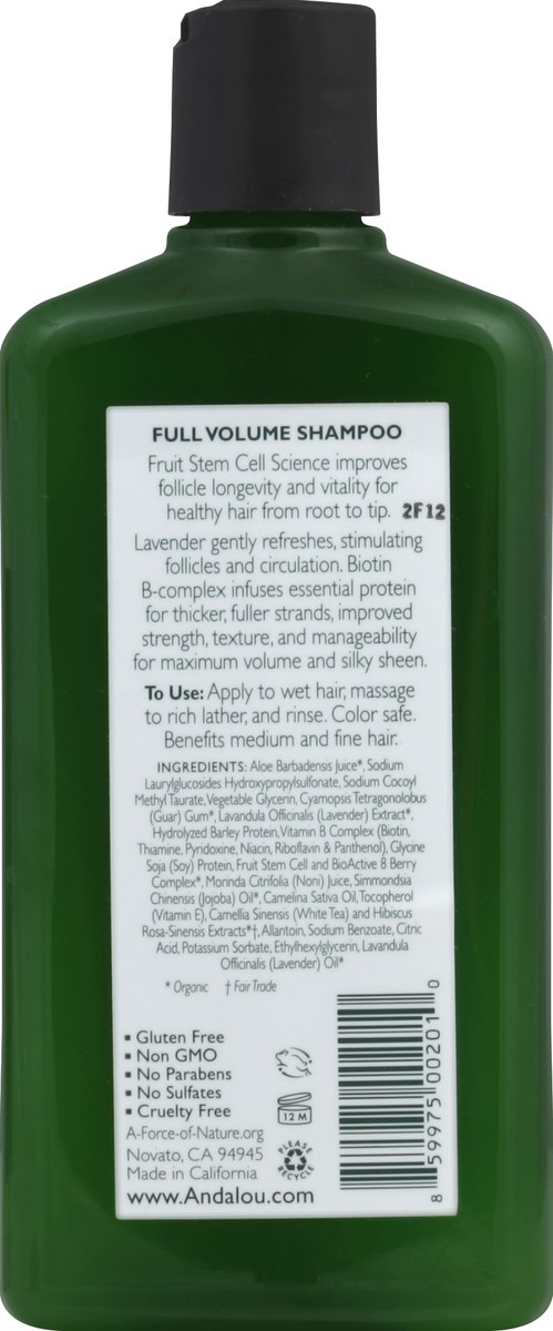 slide 4 of 4, Andalou Naturals Shampoo Lavender & Biotin, 1 ct