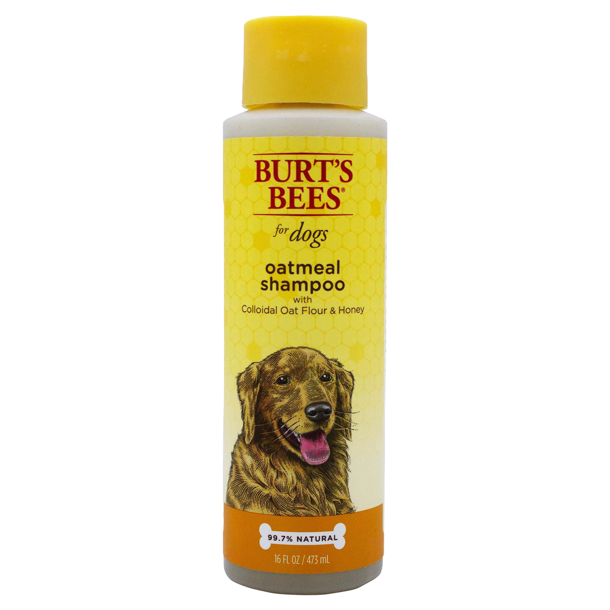 slide 1 of 1, Burt's Bees Oatmeal Dog Shampoo, 16 fl oz