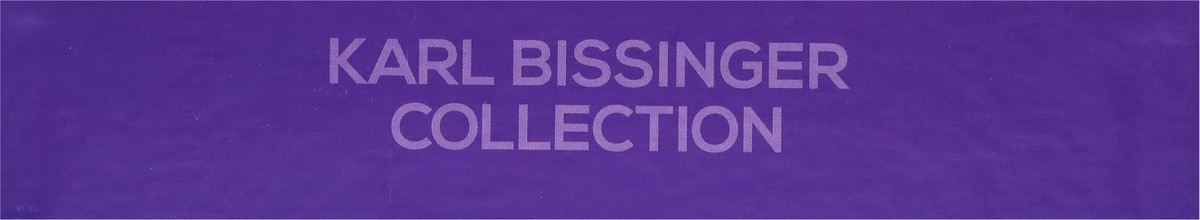 slide 10 of 13, Bissinger's Karl Bissinger Collection Assorted Chocolates 17 ea, 17 ct