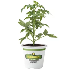 Bonnie Plants Tomato Celebrity