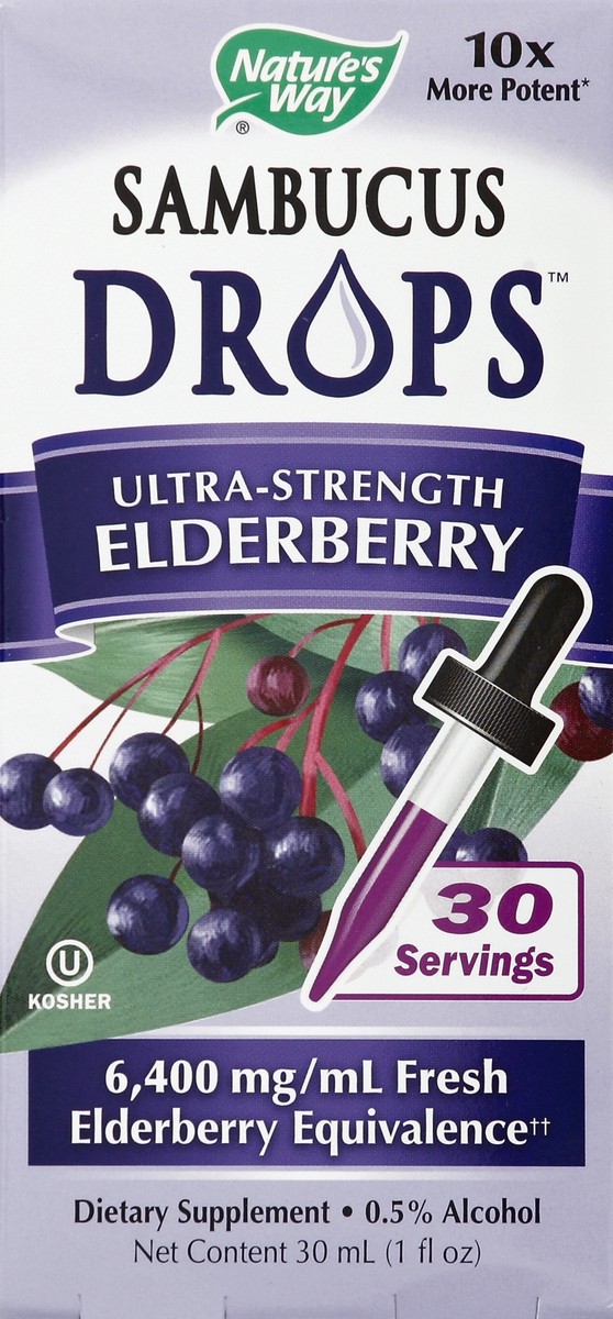 slide 1 of 1, Nature's Way Elderberry 1 oz, 1 oz