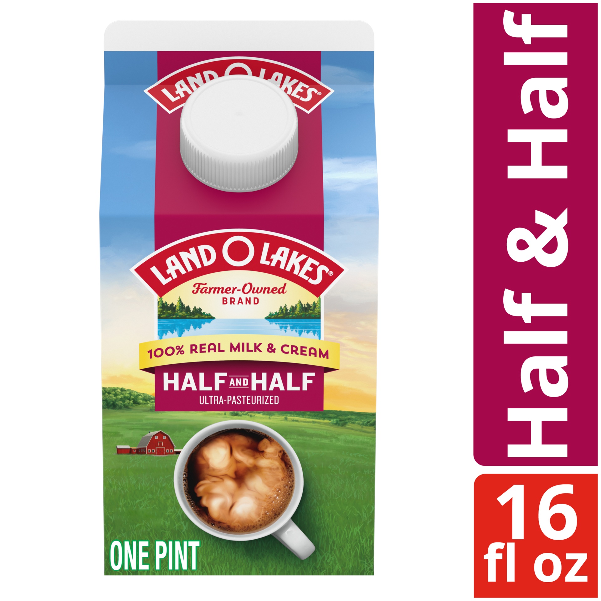 slide 1 of 7, Land O'Lakes Traditional Half And Half, 16 fl oz