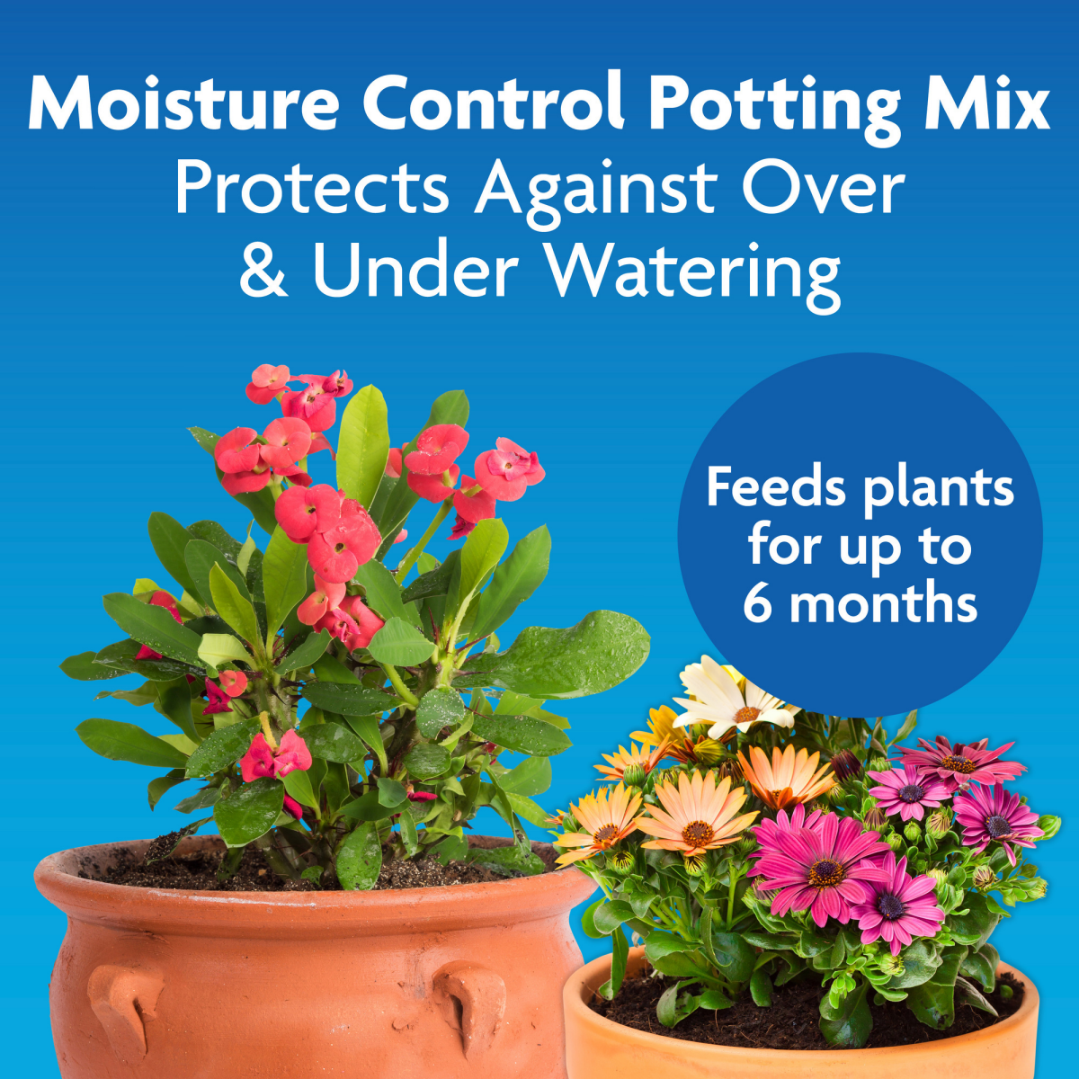 slide 6 of 9, Miracle-Gro Moisture Control Potting Mix, 2 cu ft