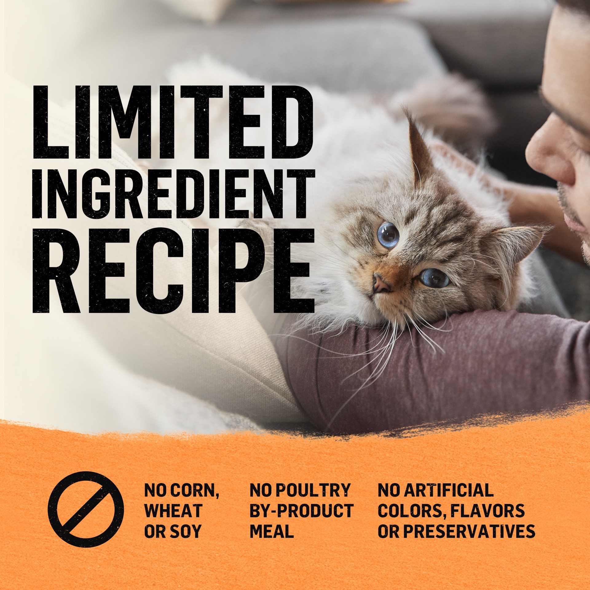 slide 2 of 9, Beyond Purina Beyond Grain Free White Meat Chicken and Egg Recipe Natural Cat Food High Protein Cat Food Dry Formula, 5 lb