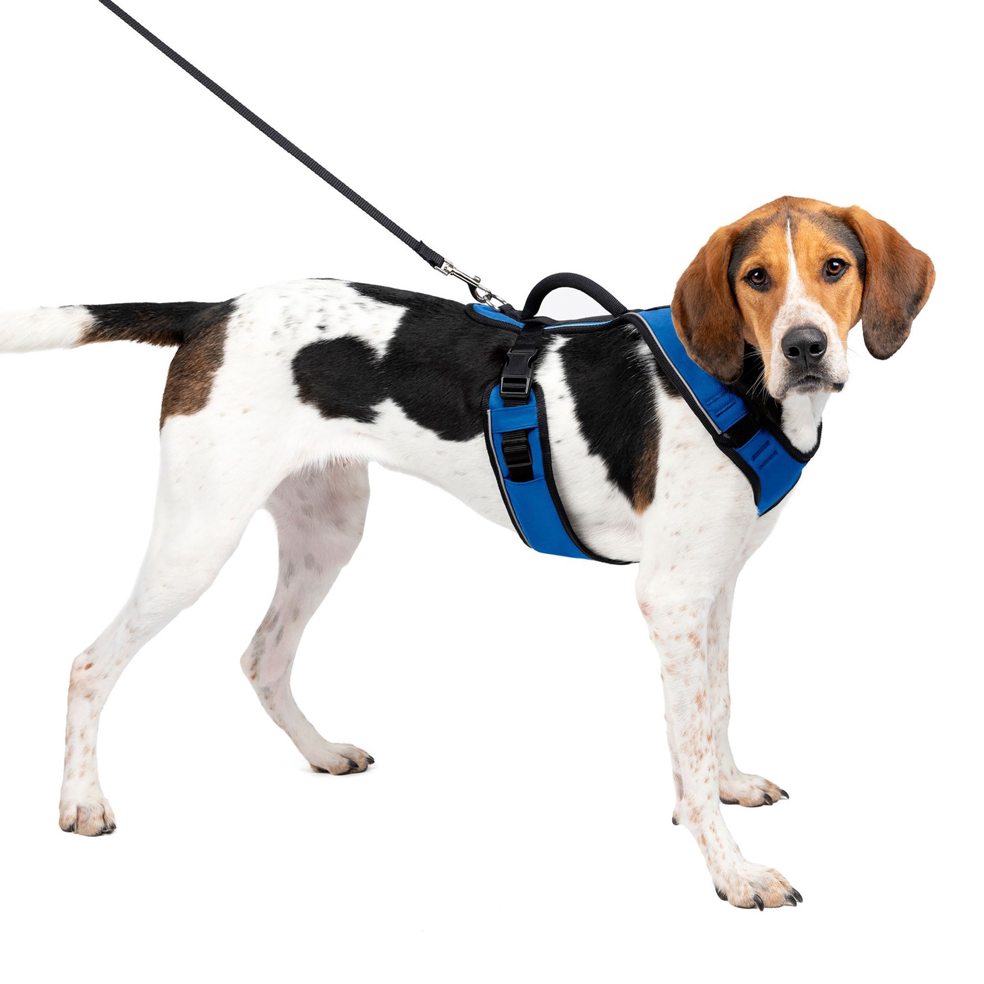 slide 1 of 1, Easy Sport Harness Lg Blue, 1 ct