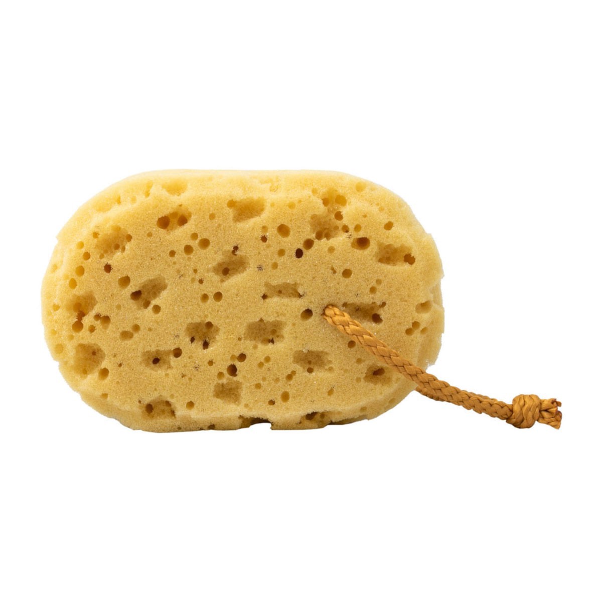 slide 5 of 9, Katelle Kat Natural Sponge, 1 ct