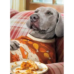 Avanti Thanksgiving Napping Dog Card