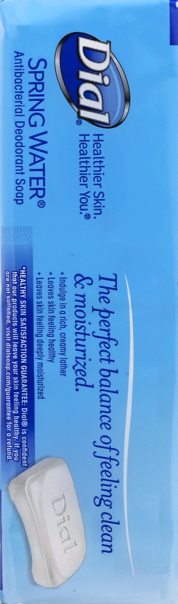 slide 4 of 13, Dial Antibacterial Spring Water Deodorant Soap 10 ea, 10 ct