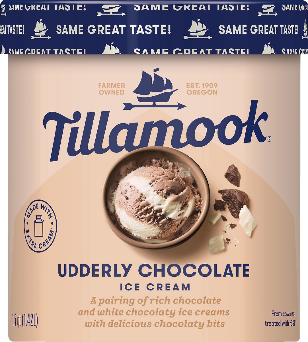 slide 1 of 1, Tillamook Udderly Chocolate Ice Cream, 48fl-oz, 855 g