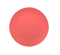 Everyday Living Dinner Plates - Fresh Salmon, 2 pk / 10 in