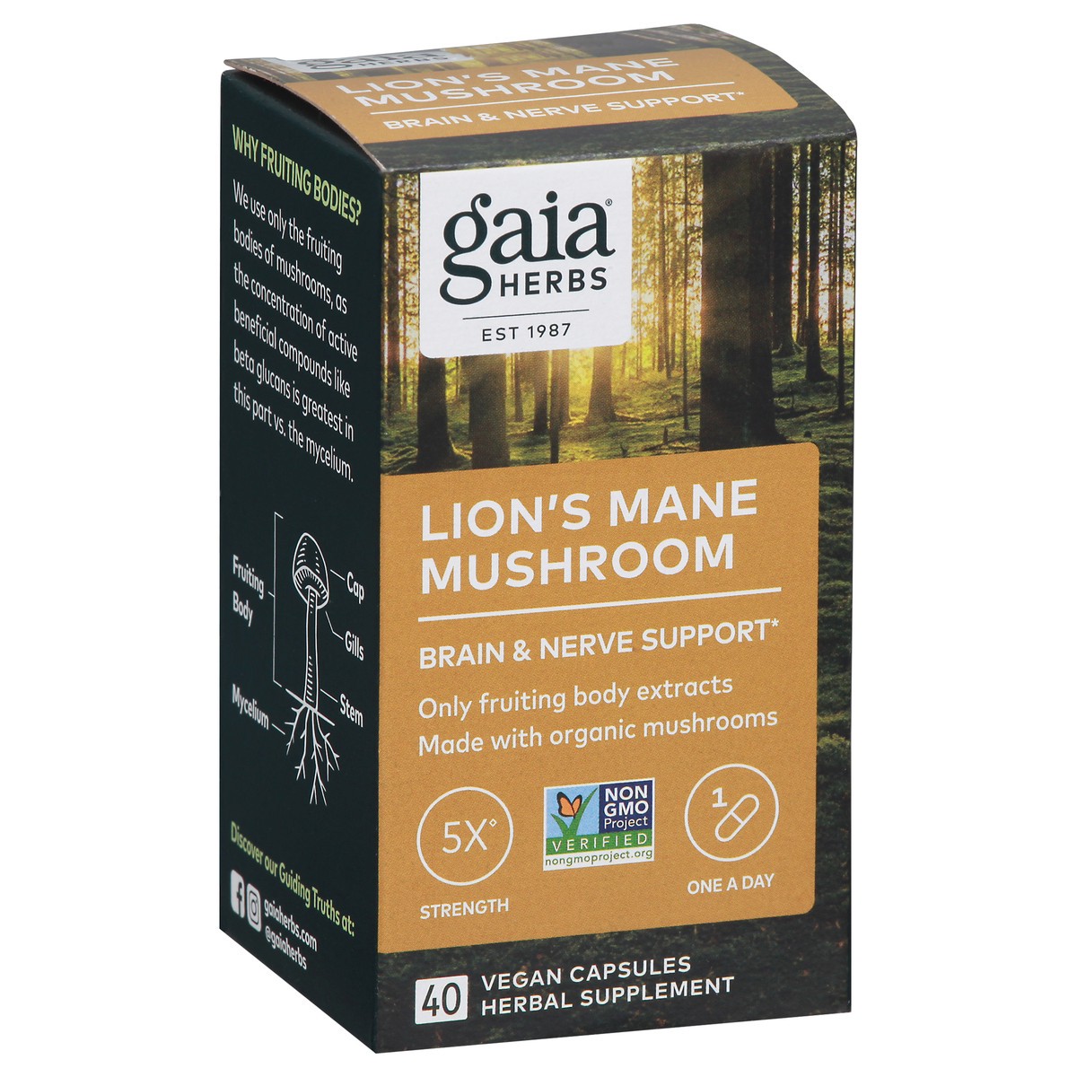 slide 5 of 13, Gaia Herbs Lion's Mane Mushroom 40 Vegan Capsules, 40 ct