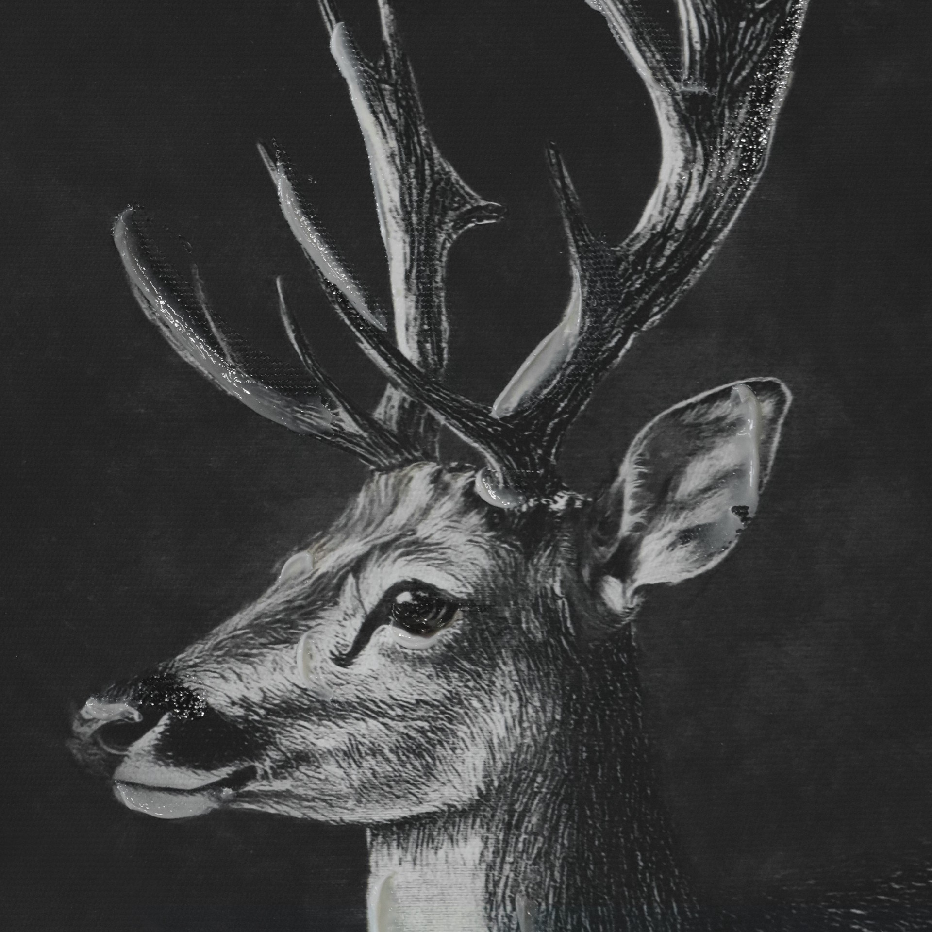 slide 3 of 7, 8" X 10" Reindeer Canvas Wall Decor By Ashland, 8 in x 10 in