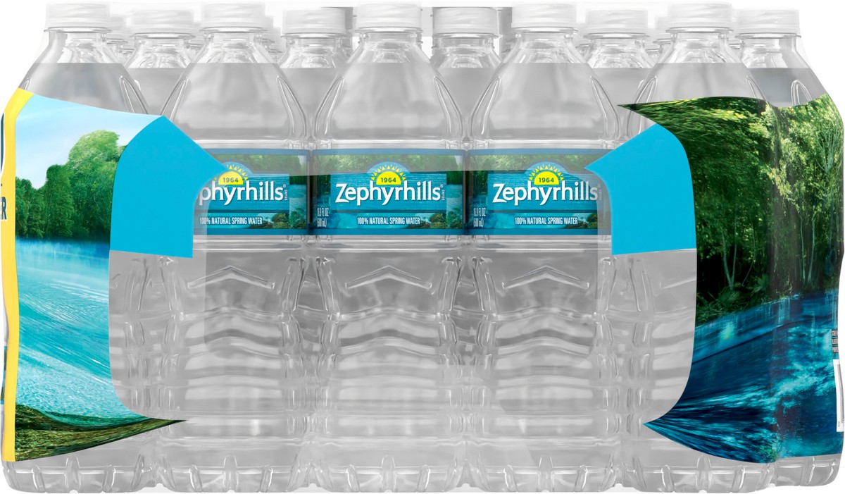 slide 8 of 8, ZEPHYRHILLS Brand 100% Natural Spring Water, 16.9-ounce plastic bottles (Pack of 40), 16.9 fl oz