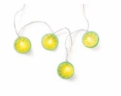 Everyday Living Lime Slice String Lights