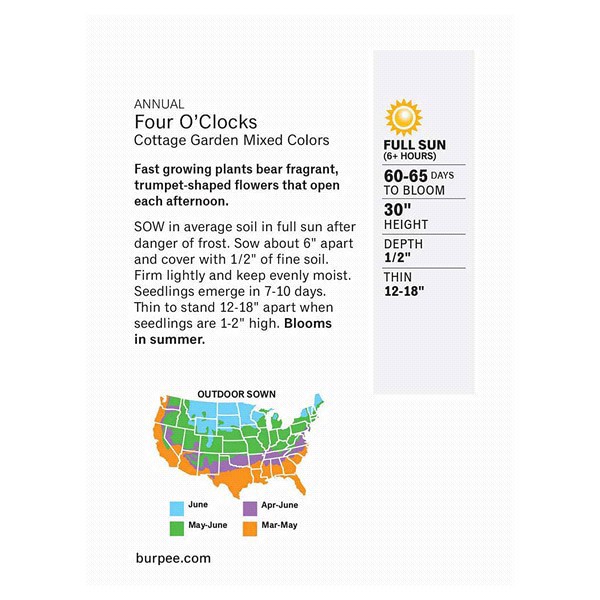 slide 3 of 5, Burpee Four Oclocks Mix Seeds, 1 ct