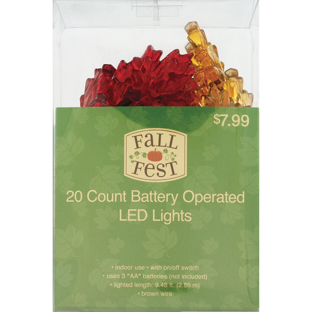 slide 1 of 1, 20 Ct B/O Harvest Led Light Set, 1 ct
