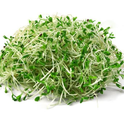 slide 1 of 1, Sunny Creek Alfalfa Sprouts, 4 oz