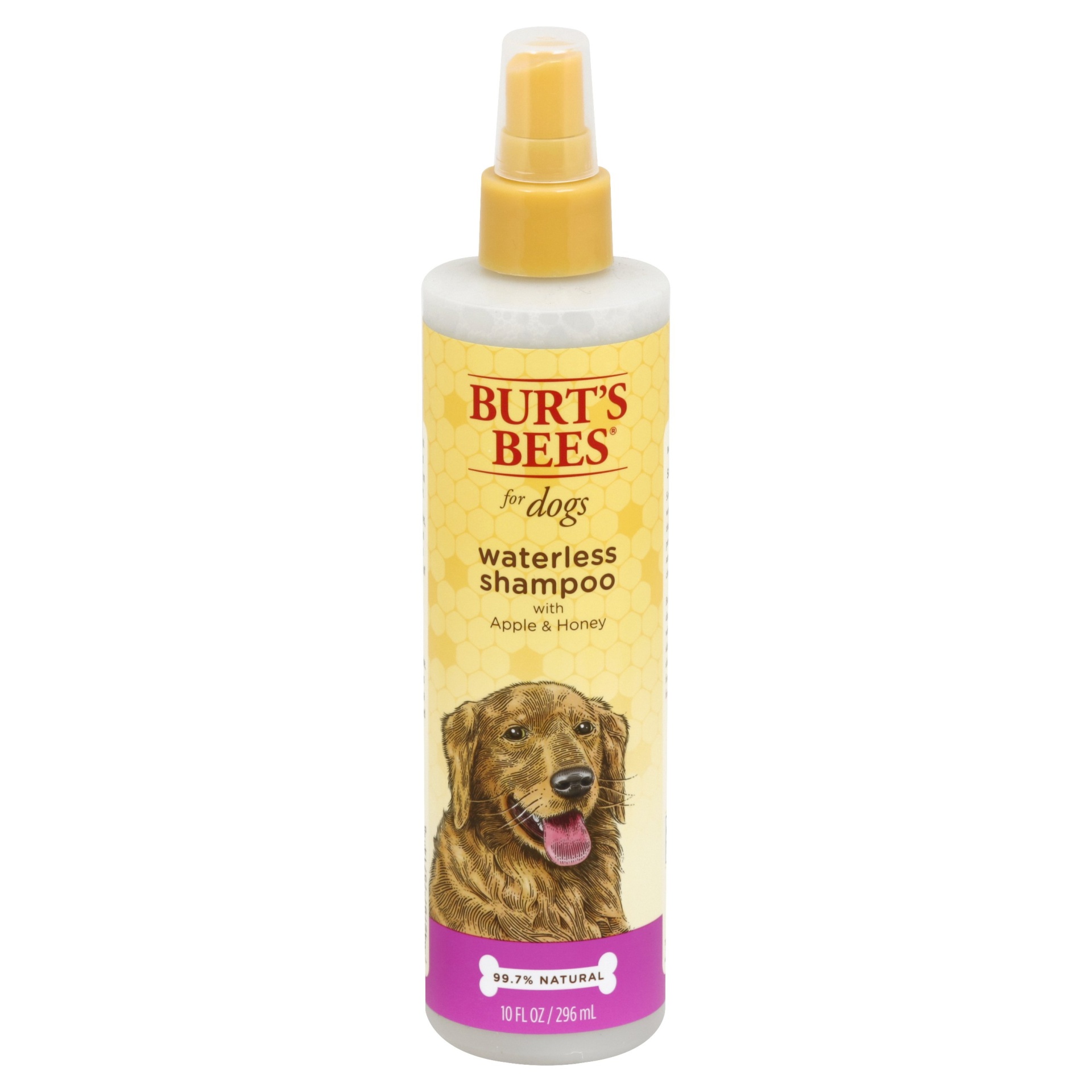 slide 1 of 1, Burt's Bees Waterless Shampoo for Dogs Apple Honey, 10 fl oz