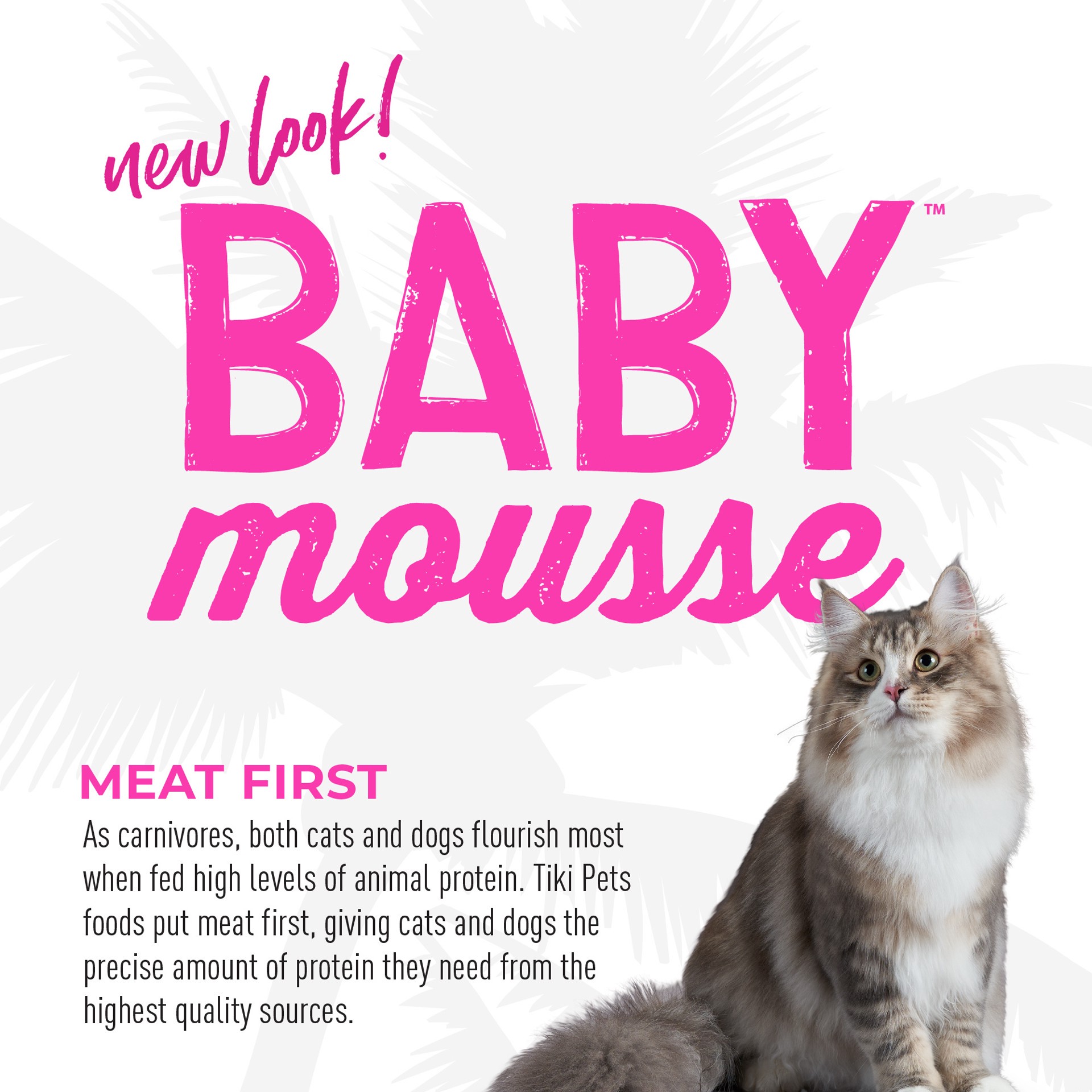 slide 2 of 9, Tiki Cat Baby Mousse Wet Cat Food for Kittens, Chicken & Chicken Liver, 2.4 oz. Pouch, 2.4 oz