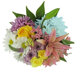 Butterfly Blooms Fresh Cut Flower Bouquet