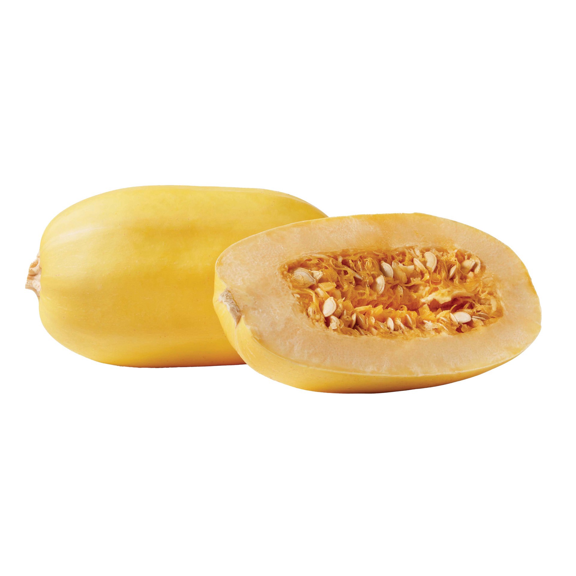 slide 1 of 1, Spaghetti Squash 1 ea, 1 ct