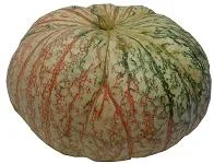 One Too Many Pumpkin