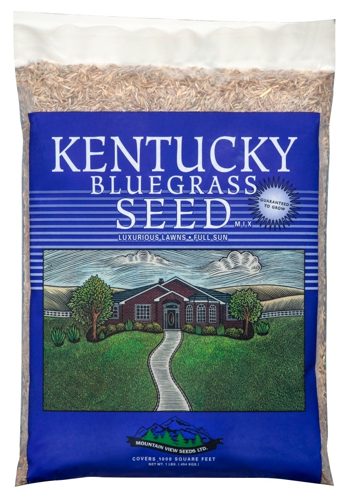 slide 1 of 1, Mountain View Seeds Kentucky Bluegrass Seed, 1 lb